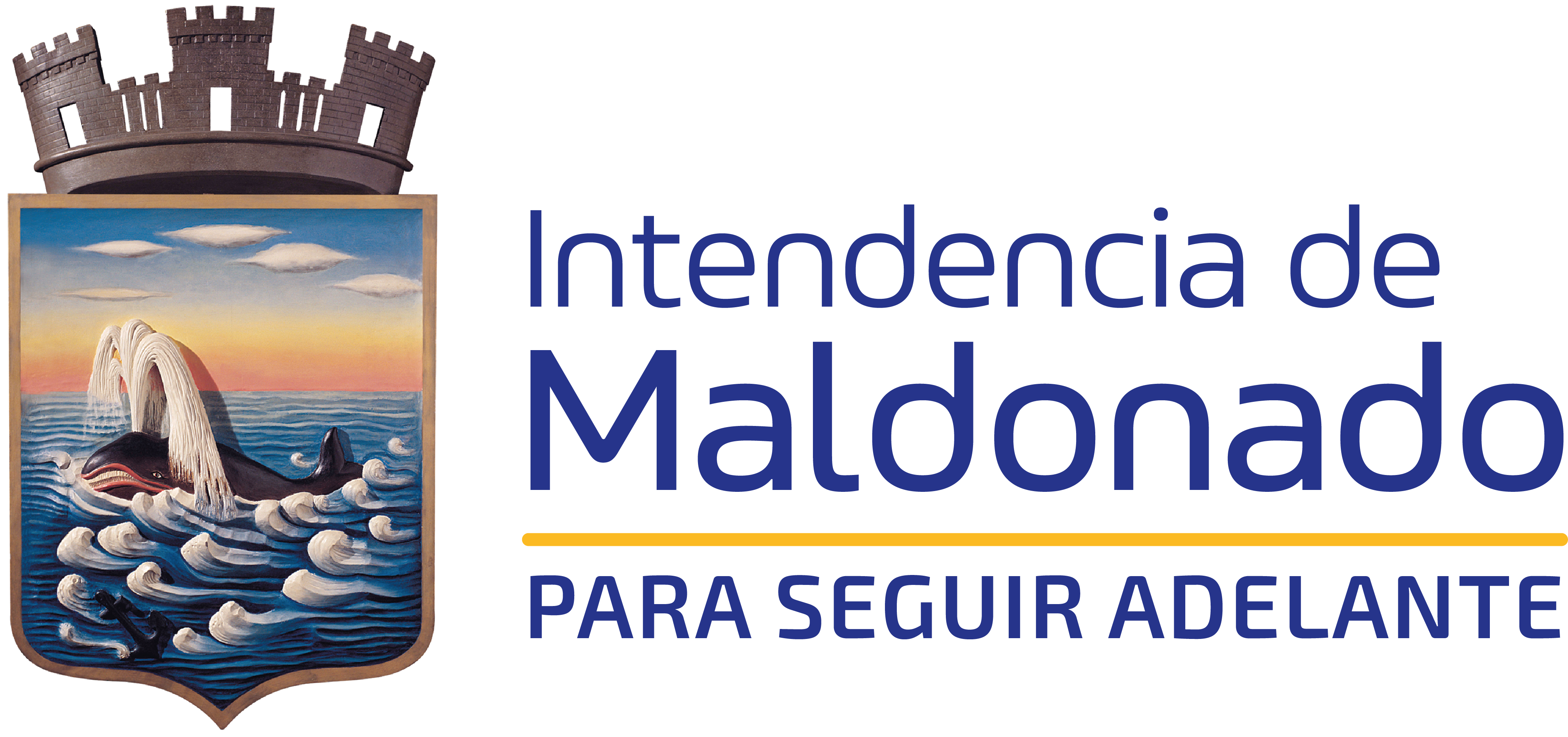 Logo IDM 2025